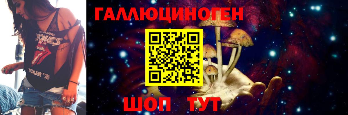Псилоцибиновые грибы Psilocybe Люберцы