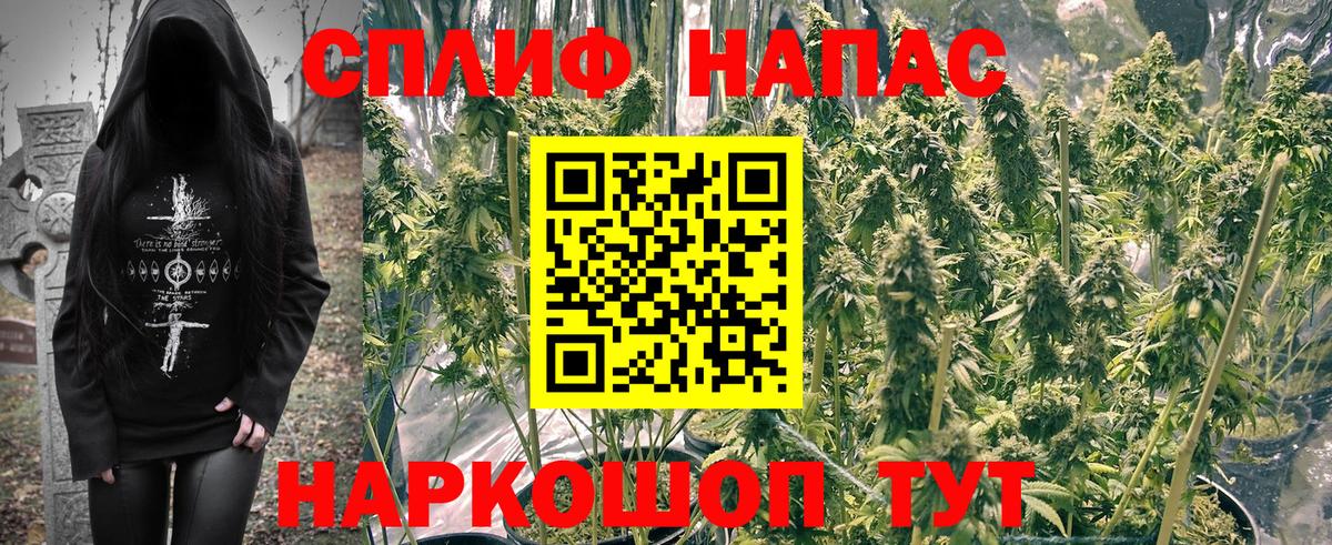 Бошки марихуана THC 21% Люберцы